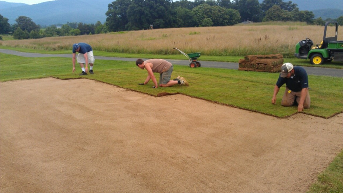 Golf Course Sod Work Clear Vision Turf